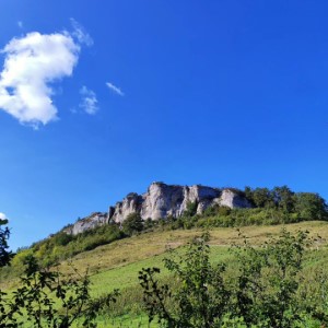 Sur les traces de Gustave Courbet, chez lui 🎨 🖼️ ."J'ai voulu tout simplement puiser dans l'entière connaissance de la tradition le sentiment raisonné et indépendant de ma propre individualité. Savoir pour pouvoir. telle fut ma pensée...Être à même de traduire les mœurs, les idées, l'aspect de mon époque, selon mon appréciation, être non seulement un peintre, mais comme un homme, en un mot faire de l'art vivant, tel est mon but."..Gustave Courbet. Exhibition et vente de quarante tableaux et quatre dessins de l'œuvre de Gustave Courbet, Paris, 1855..#ornans #courbet #france